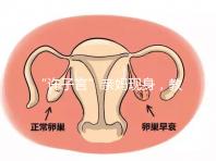 “許子言”親媽現身，教你如何生一個媽媽的小情人小暖爐！