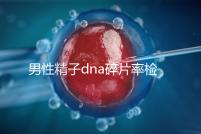 男性精子dna碎片率檢查注意事項清單，禁欲幾天就知道了
