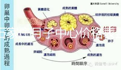 石家莊月子中心價格表整理，長安最貴最好的一家原來是它