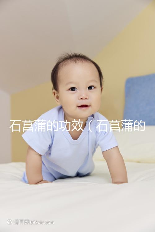 石菖蒲的功效（石菖蒲的功效和作用主治）