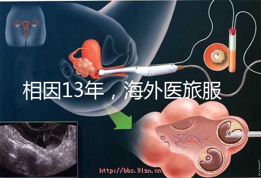 相因13年，海外醫旅服務標準制定者