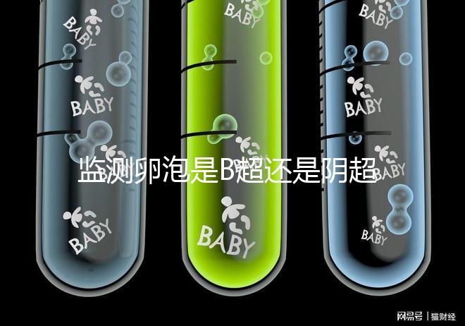 監測卵泡是B超還是陰超？陰道超聲和腹部超聲的區別不止探頭