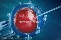看到懷孕的第二個孩子！2024年廣州試管嬰兒費用清單