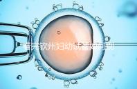 看完欽州婦幼試管如何別走，了解下助孕全過程費用明細再說