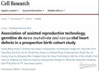 白術的功效（白術對男性性功能的效果）