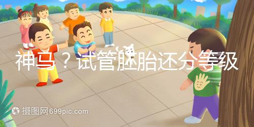 神馬?試管胚胎還分等級嗎?