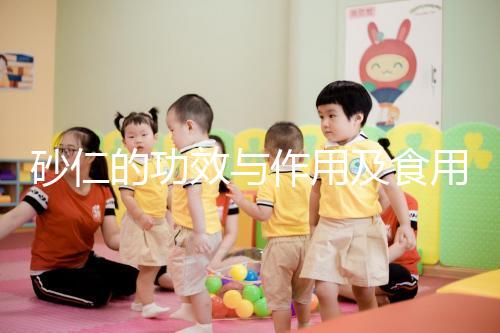 砂仁的功效與作用及食用方法(砂仁壯陽的功效與作用)