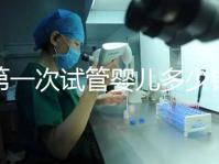 第一次試管嬰兒多少錢