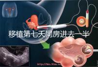 移植第七天同房進去一半有無影響戳，沒出血問題就不大