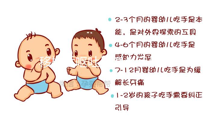 移植后嘔吐是怎么回事？這3大原因別忽視，選對治療方案可促著床！