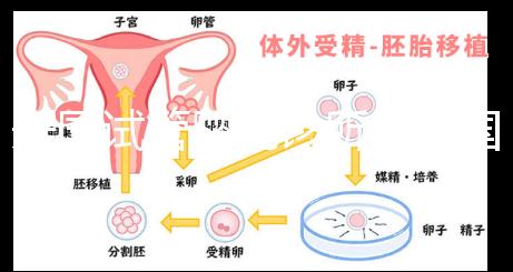 美國(guó)試管嬰兒診所(美國(guó)試管嬰兒診所排名)