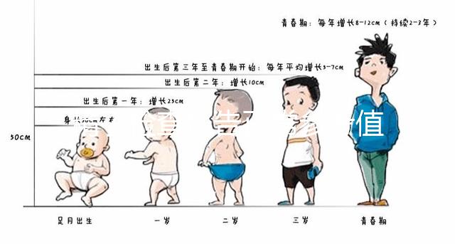 精子檢查報告正常參考值圖例分析，關注這3項指標就夠了