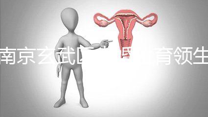 南京玄武區(qū)未婚生育領(lǐng)生育金看條件,社會撫養(yǎng)費(fèi)交不了多少