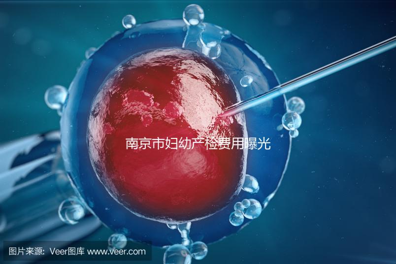 南京市婦幼產(chǎn)檢費用曝光，附2024詳細掛號時間和流程