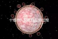 十堰市人民醫院取卵過程詳解，三種情況可全身麻醉