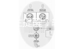 兒科醫生提醒：輪狀疫苗有不良反應，輕微表現持續時間短