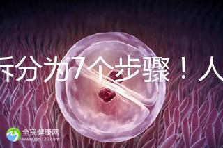 共拆分為7個(gè)步驟!人工授精自然周期流程全解