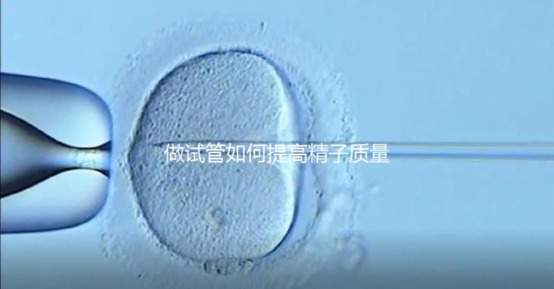 做試管如何提高精子質量？五星推薦4個簡單小運動