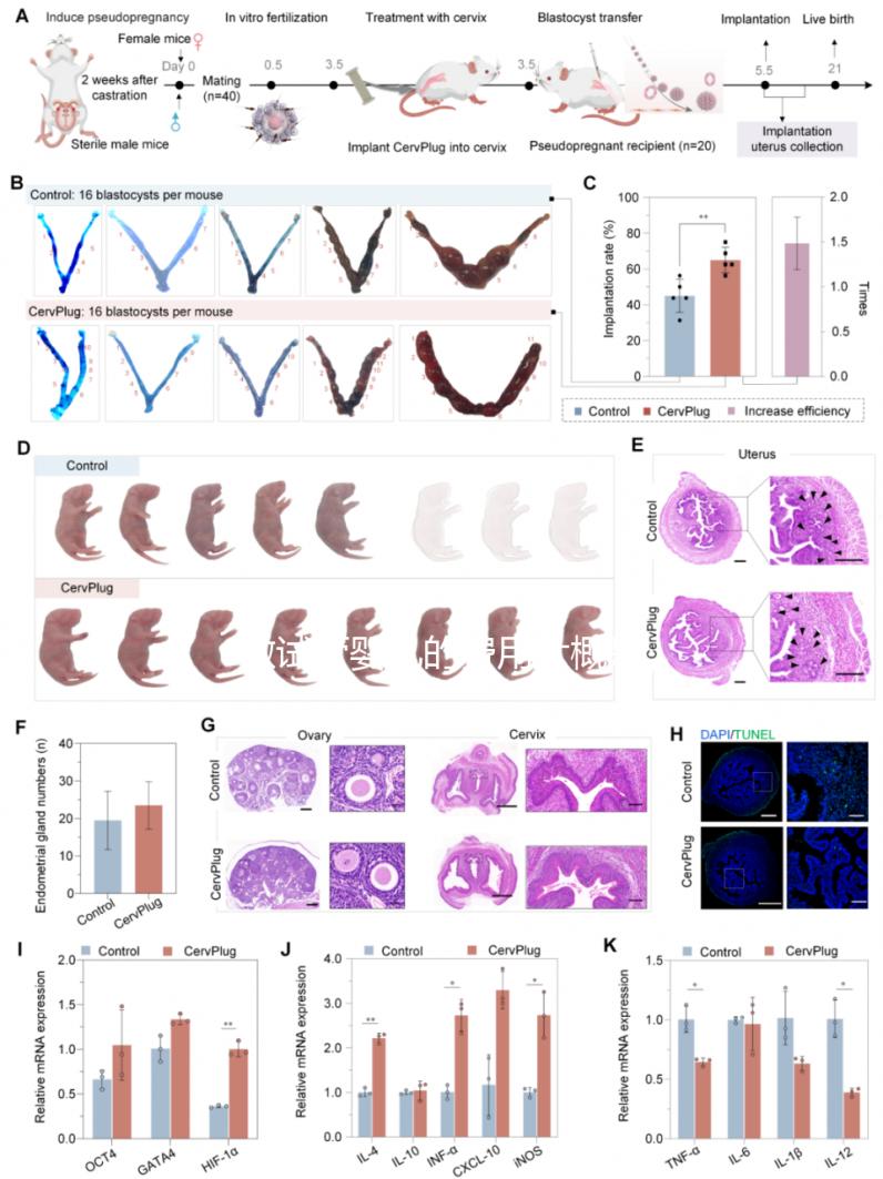 做試管嬰兒的費(fèi)用大概是多少錢？