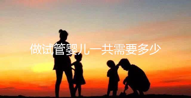 做試管嬰兒一共需要多少錢(qián)?