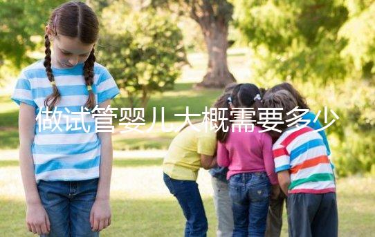 做試管嬰兒大概需要多少錢（現(xiàn)在做試管嬰兒大概需要多少錢）