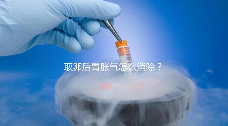 取卵后胃脹氣怎么消除？促進腸蠕動是唯一解決手段