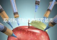 取卵和胚胎培養環節最重要？做試管嬰兒的你一定不知道！