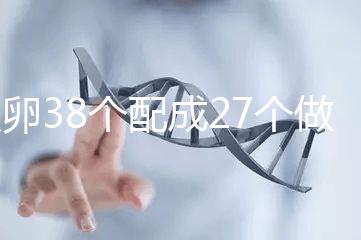 取卵38個配成27個做試管成功率高，前提：醫生叫養囊要聽話