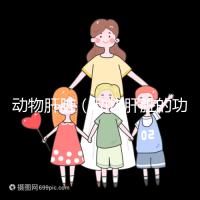 動物肝臟(動物肝臟的功效與作用)