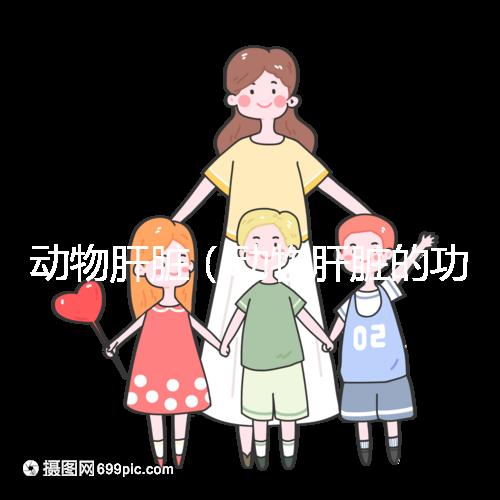 動(dòng)物肝臟（動(dòng)物肝臟的功效與作用）