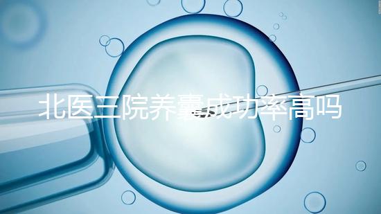 北醫三院養囊成功率高嗎？胚胎質量才是關鍵因素