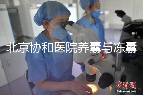 北京協(xié)和醫(yī)院養(yǎng)囊與凍囊費(fèi)用參考，做好這4點(diǎn)成功率上漲
