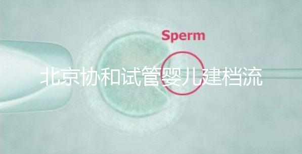 北京協(xié)和試管嬰兒建檔流程介紹,到院后掛號(hào)必不可少