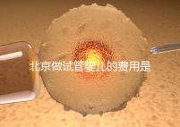 北京做試管嬰兒的費(fèi)用是多少錢?詳細(xì)流程是怎樣的?