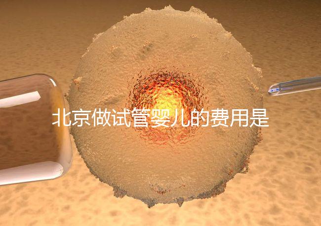 北京做試管嬰兒的費(fèi)用是多少錢？詳細(xì)流程是怎樣的？