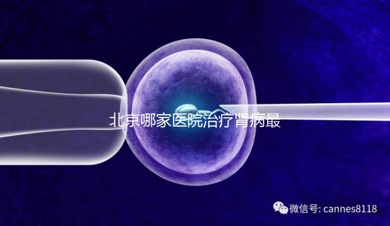 北京哪家醫(yī)院治療腎病最好（北京哪家醫(yī)院治療腎病最好？）