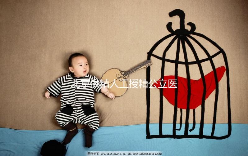 北京供精人工授精公立醫(yī)院一覽,內含排名榜單快收藏