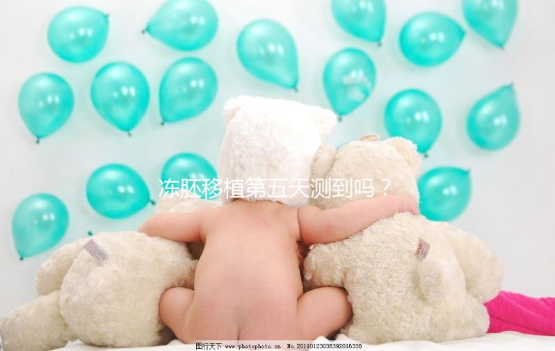 凍胚移植第五天測到嗎？肚子脹or腰疼這些感覺暗示著床了