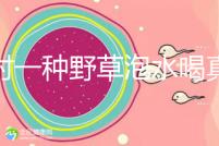 農(nóng)村一種野草泡水喝真能治便秘！配合這九種中草藥效果更好