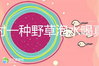 農村一種野草泡水喝真能治便秘！配合這九種中草藥效果更好