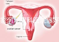 哪家河池男科醫院最好快速收藏，金城江區最有名的就在這里