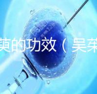 吳茱萸的功效（吳茱萸上火還是降火）