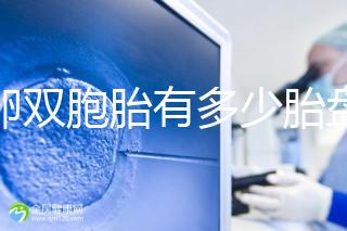 同卵雙胞胎有多少胎盤？1個or2個當場講給你聽