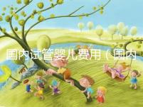 國(guó)內(nèi)試管嬰兒費(fèi)用(國(guó)內(nèi)試管嬰兒費(fèi)用多少)