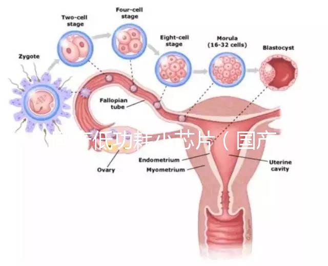 國(guó)產(chǎn)低功耗小芯片（國(guó)產(chǎn)低功耗小芯片有哪些）
