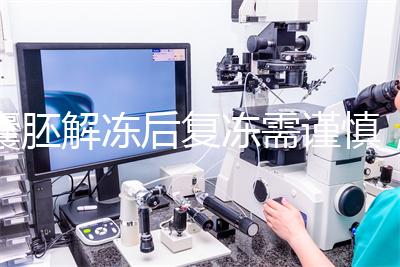 囊胚解凍后復凍需謹慎，這些對胚胎質量的影響不可不知