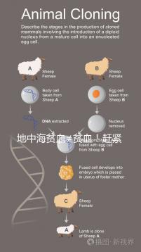 地中海貧血≠貧血！趕緊來看看地貧和貧血有什么區(qū)別