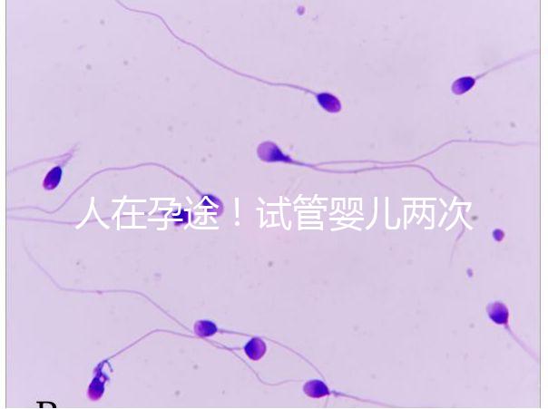 人在孕途！試管嬰兒兩次胎停育,了解這幾招能降低流產風險