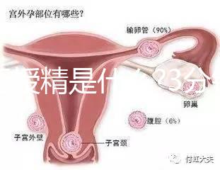 人工授精是什么?3分鐘讀完這篇文章，解答你所有疑問