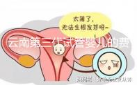 云南第三代試管嬰兒的費(fèi)用是多少？如何選擇可靠的醫(yī)院？這篇文章的策略已經(jīng)為你做好了